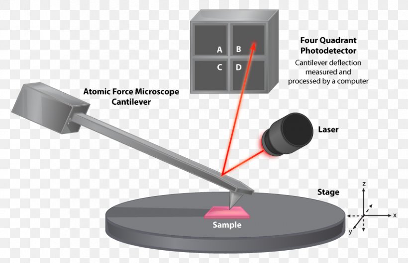 Atomic Force Microscopy Scanning Electron Microscope Microorganism, PNG, 850x550px, Atomic Force Microscopy, Atom, Audio Equipment, Brightfield Microscopy, Cantilever Download Free