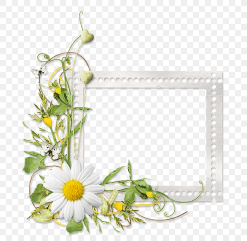 Picture Frames Floral Design Flower, PNG, 800x800px, Watercolor, Cartoon, Flower, Frame, Heart Download Free