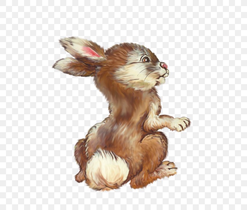 Rabbit Clip Art, PNG, 547x699px, Rabbit, Blog, Carnivoran, Child, Com Download Free