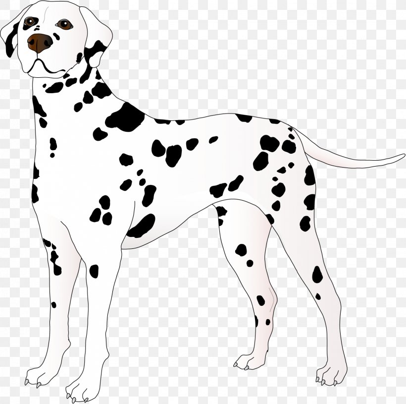 Dalmatian Dog Puppy Animal Non-sporting Group Clip Art, PNG, 1633x1625px, Dalmatian Dog, Animal, Animal Figure, Black And White, Canidae Download Free