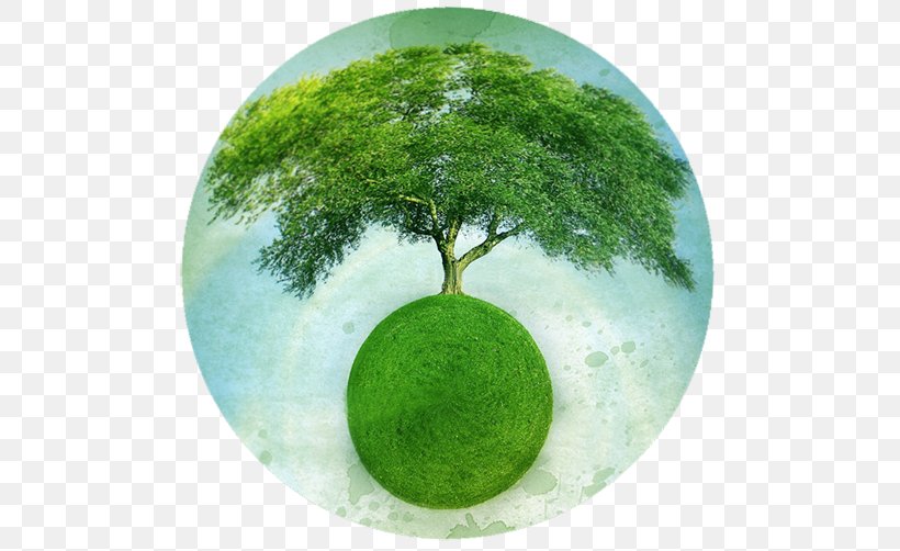 Gaia Hypothesis Earth Mother Nature, PNG, 500x502px, Gaia Hypothesis, Earth, Ecology, Gaia, Grass Download Free