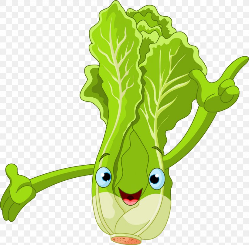 Lettuce Cartoon Royalty-free Clip Art, PNG, 1000x986px, Lettuce, Amphibian, Cartoon, Drawing, Fictional Character Download Free