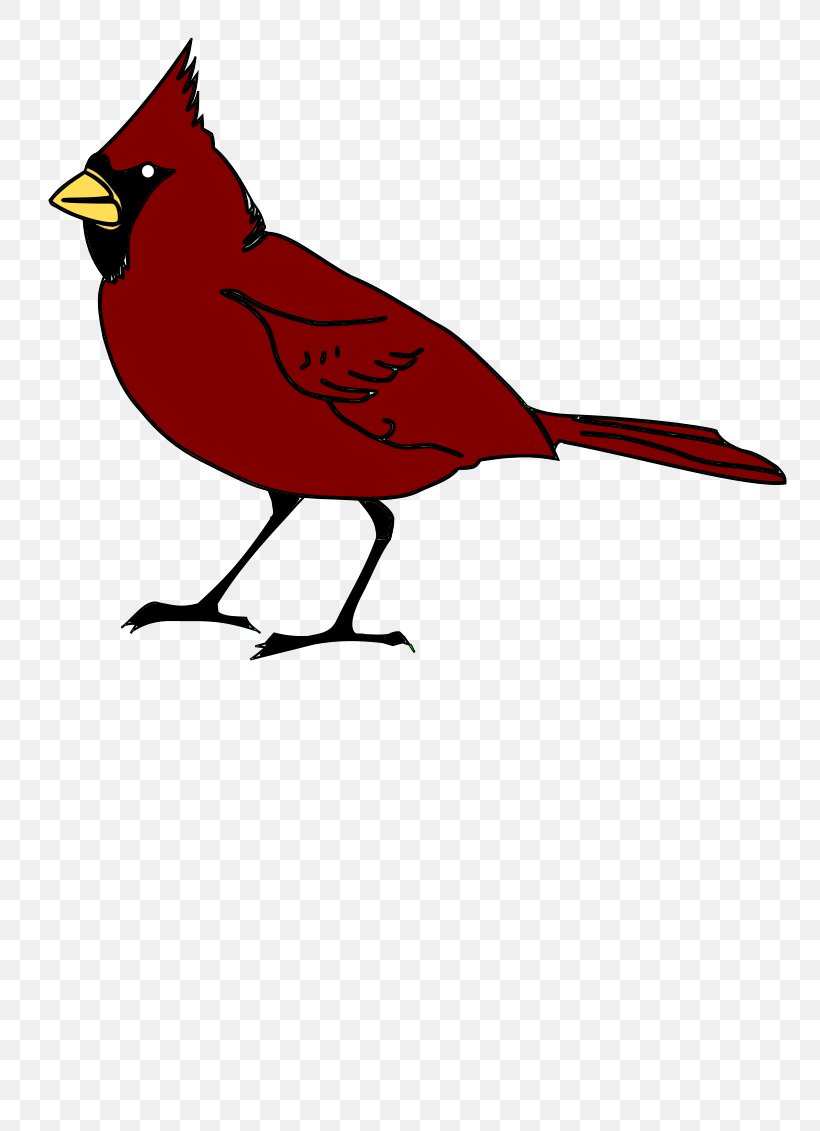 St. Louis Cardinals Clip Art, PNG, 800x1131px, St Louis Cardinals, Art, Artwork, Beak, Bird Download Free