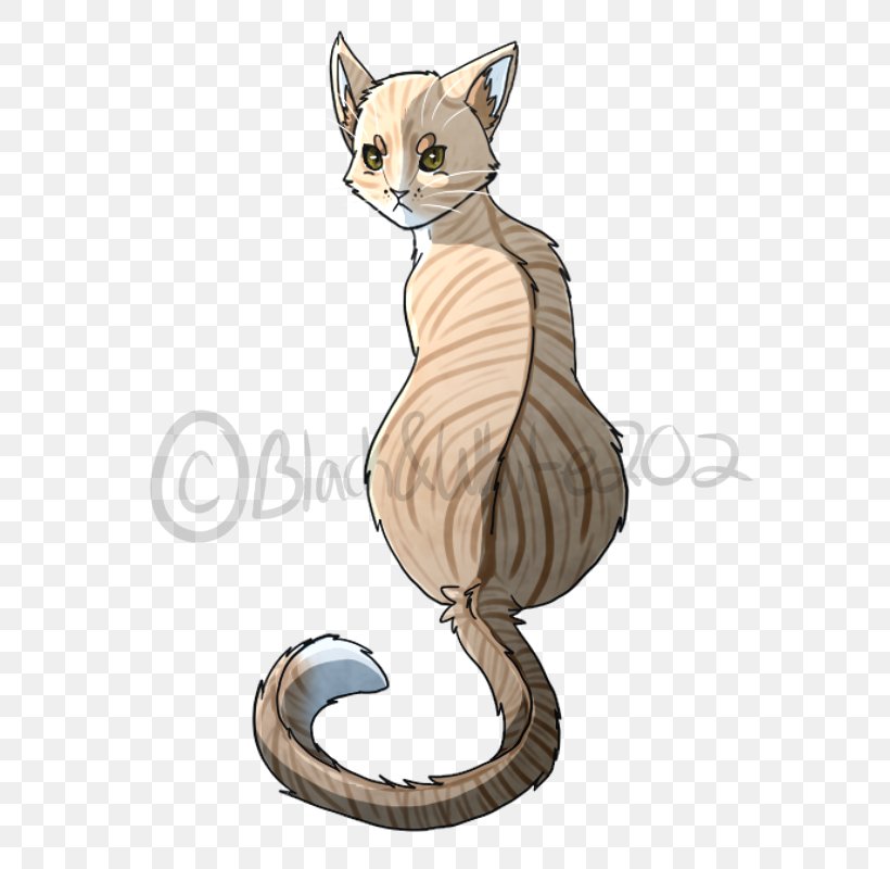 Tabby Cat Kitten Domestic Short-haired Cat Whiskers Wildcat, PNG, 600x800px, Tabby Cat, Carnivoran, Cartoon, Cat, Cat Like Mammal Download Free