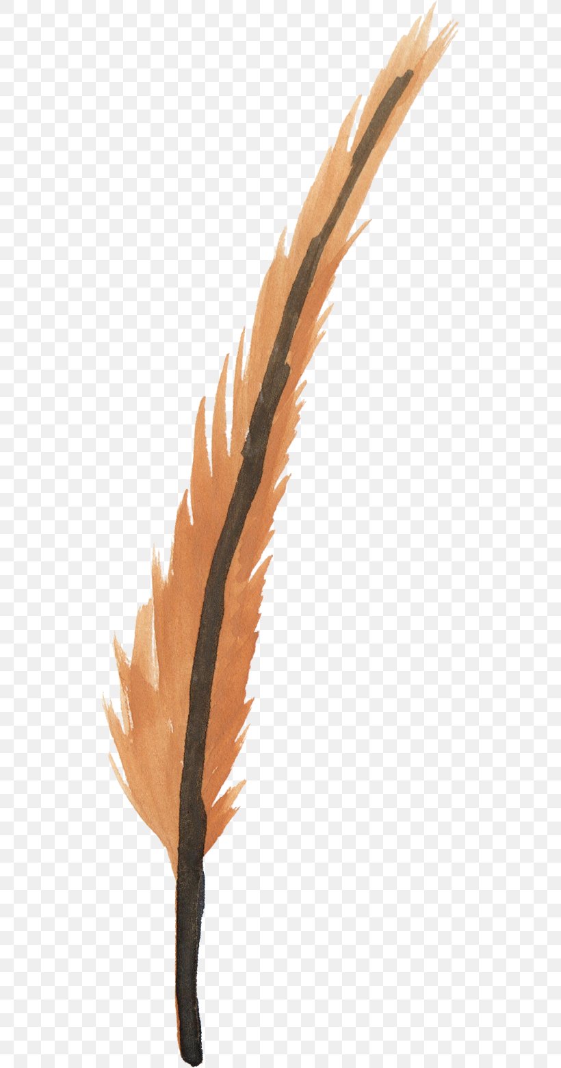 Watercolor Painting Clip Art Feather Image, PNG, 526x1560px, Watercolor Painting, Feather, Magpie, Megabyte, Natural Material Download Free