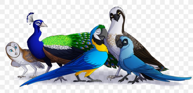 Bird Parrot Spix's Macaw Goose, PNG, 1024x494px, Bird, American Wigeon, Beak, Blackbellied Whistling Duck, Blueandyellow Macaw Download Free