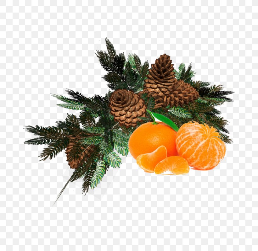 Christmas And New Year Background, PNG, 700x800px, New Year, Ananas, Blog, Branch, Christmas Day Download Free