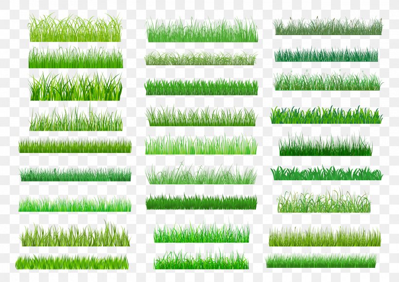 Lawn Green Royalty-free Clip Art, PNG, 2480x1754px, Lawn, Grass, Grass Family, Green, Photography Download Free