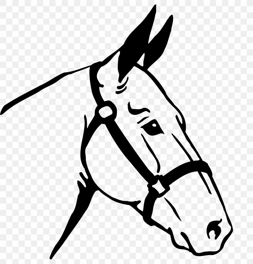 Thoroughbred Stallion Equestrian Draft Horse, PNG, 2150x2245px, Thoroughbred, Area, Artwork, Black, Black And White Download Free
