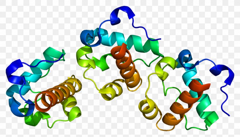 ETV6 Fusion Gene PDGFRA Transcription Factor, PNG, 1045x597px, Fusion Gene, Acute Lymphoblastic Leukemia, Gene, Genetic Code, Genome Download Free