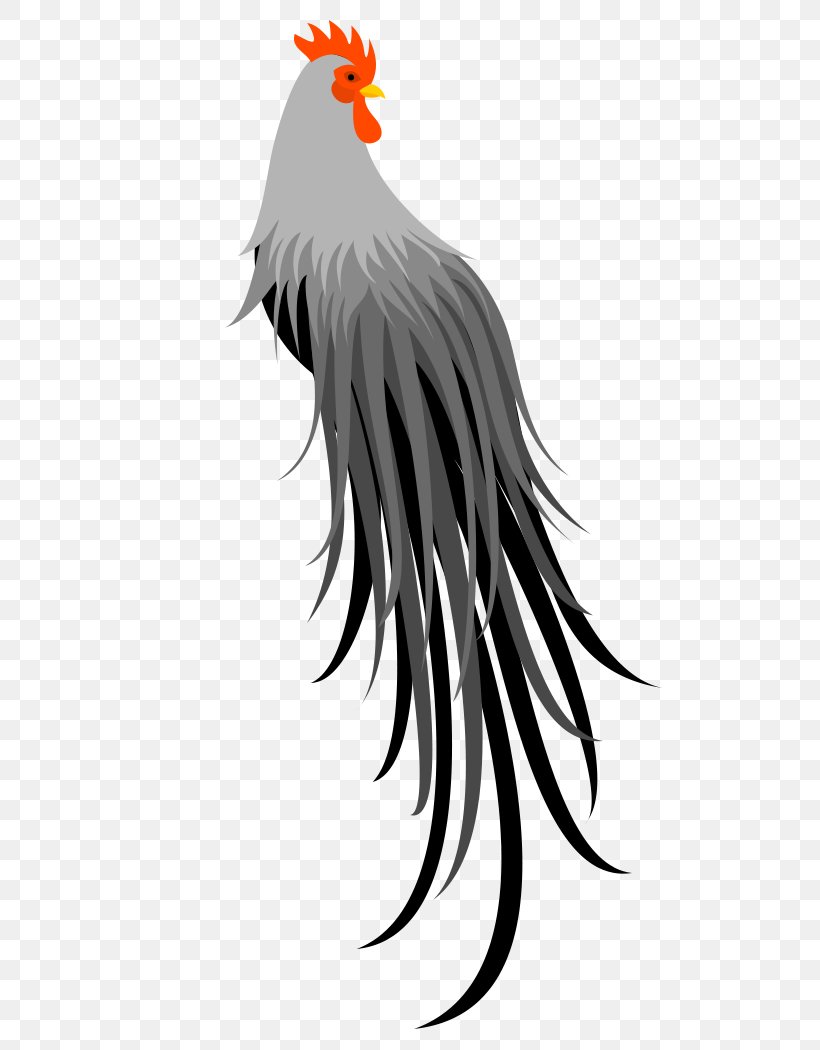 Rooster Bird Owl Chicken Beak, PNG, 510x1050px, Rooster, Beak, Bird, Bird Of Prey, Chicken Download Free