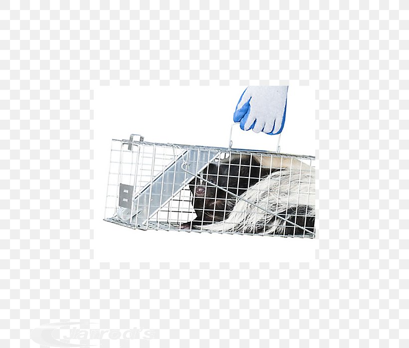 Cage Trapping Havahart Door Safe, PNG, 698x698px, 4k Resolution, Cage, Canada, Door, Havahart Download Free