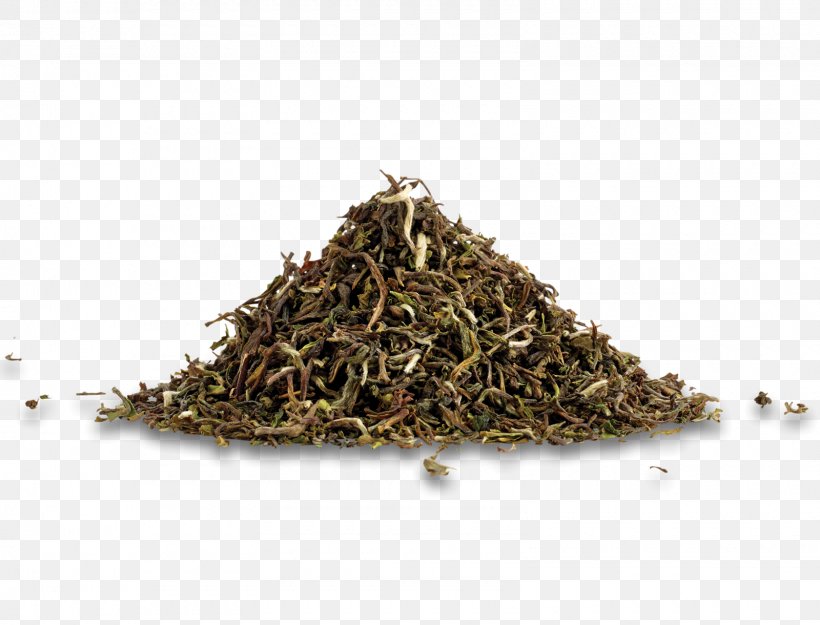 Golden Monkey Tea Masala Chai Green Tea Nilgiri Tea, PNG, 1600x1220px, Golden Monkey Tea, Assam Tea, Bancha, Biluochun, Black Tea Download Free