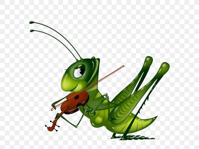 Insect Cricket Locust Clip Art, PNG, 616x616px, Insect, Arthropod, Cricket,  Cricket Fighting, Cricket Like Insect Download