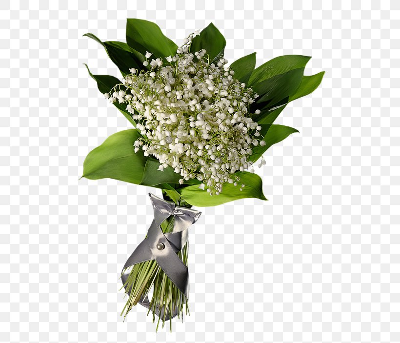 Lily Of The Valley PhotoFiltre Clip Art, PNG, 581x703px, Lily Of The Valley, Cut Flowers, Fleur Blanche, Floral Design, Floristry Download Free