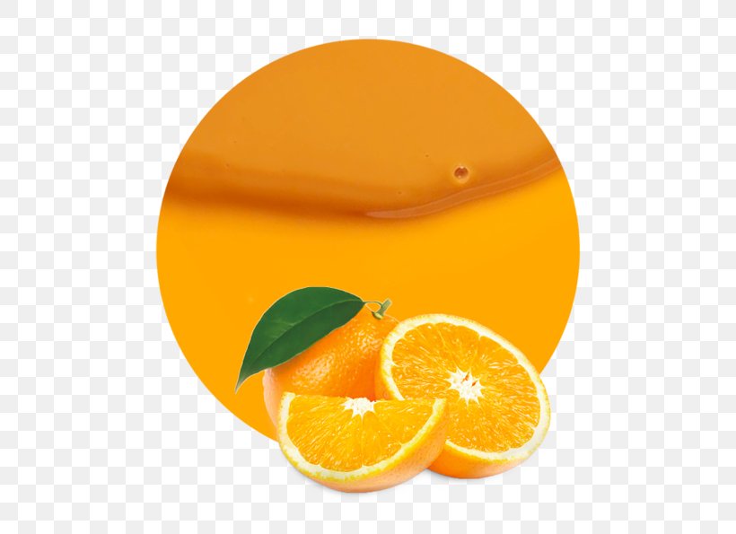 Orange Juice Concentrate Clementine, PNG, 536x595px, Orange, Citric Acid, Citrus, Clementine, Concentrate Download Free