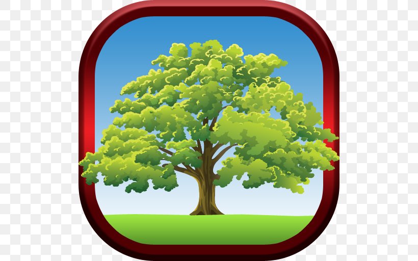 Tree Oak Drawing Biome Sky Limited, PNG, 512x512px, Tree, Biome, Drawing, Grass, Oak Download Free
