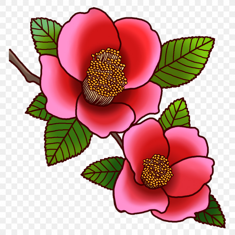 Cut Flowers Petal Camellia Flower, PNG, 1400x1400px, Cut Flowers, Camellia, Flower, Petal Download Free