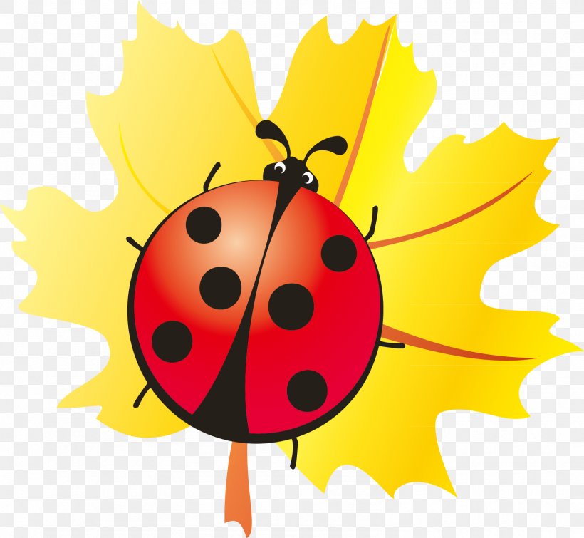 Ladybird Beetle, PNG, 1581x1457px, Ladybird, Art, Arthropod, Beetle, Coccinella Septempunctata Download Free