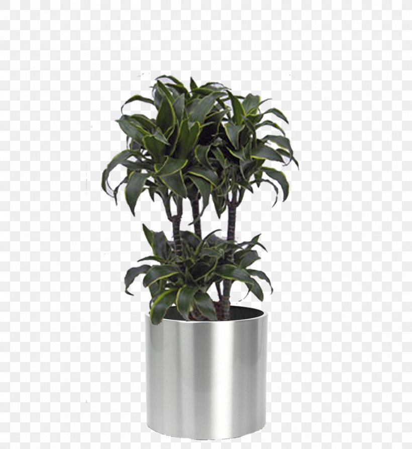 Flowerpot Houseplant Biano.nl Arecaceae, PNG, 918x1000px, Flowerpot, Affair, Arecaceae, Centimeter, Evergreen Download Free
