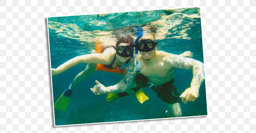 Snorkeling Underwater Animal, PNG, 603x427px, Snorkeling, Animal, Aqua, Leisure, Organism Download Free
