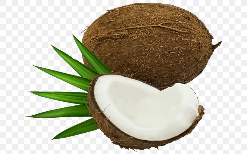 Coconut Water Fruit Clip Art, PNG, 1280x800px, Coconut Water, Blog, Coconut, Copra, Drawing Download Free