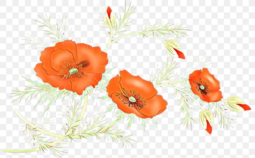 Drawing Of Family, PNG, 797x510px, Cartoon, Anemone, Coquelicot, Corn Poppy, Cut Flowers Download Free