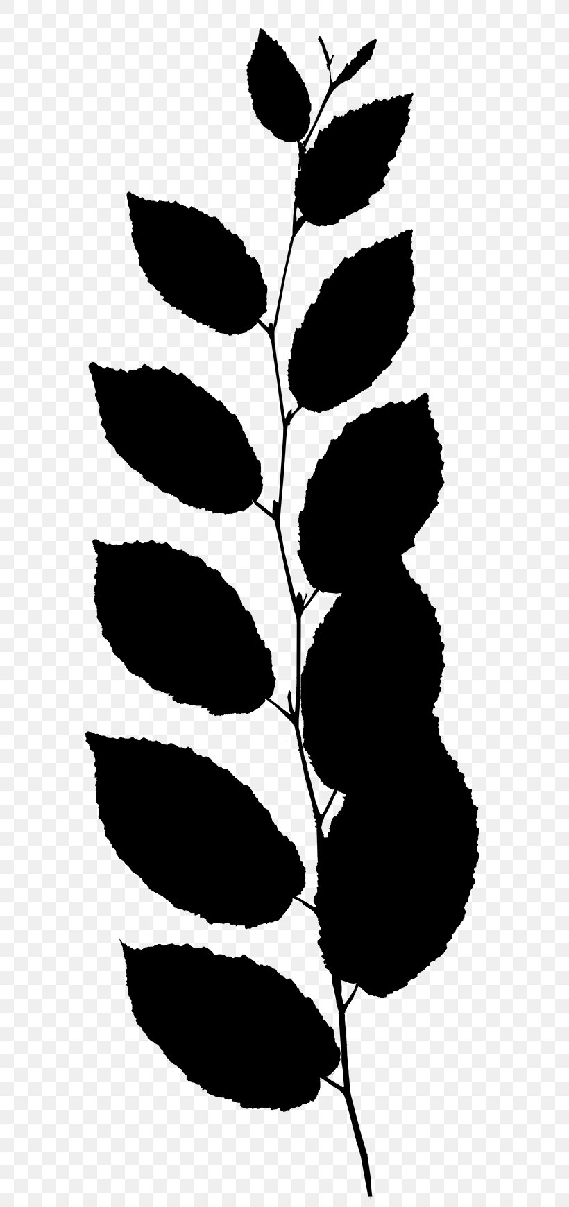 Flower Plant Stem Leaf Clip Art Line, PNG, 762x1740px, Flower, Blackandwhite, Botany, Branching, Flowering Plant Download Free