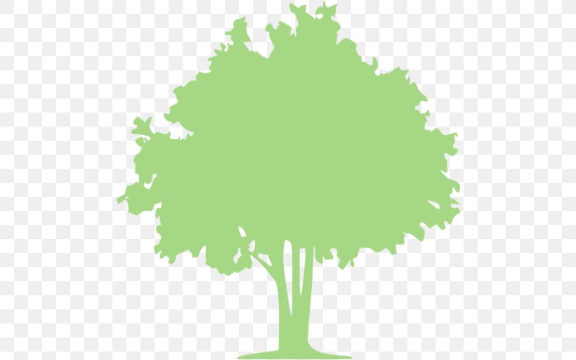 Tree Olive Arborist Desktop Wallpaper, PNG, 512x512px, Tree, Arborist, Blue, Deciduous, Forest Download Free