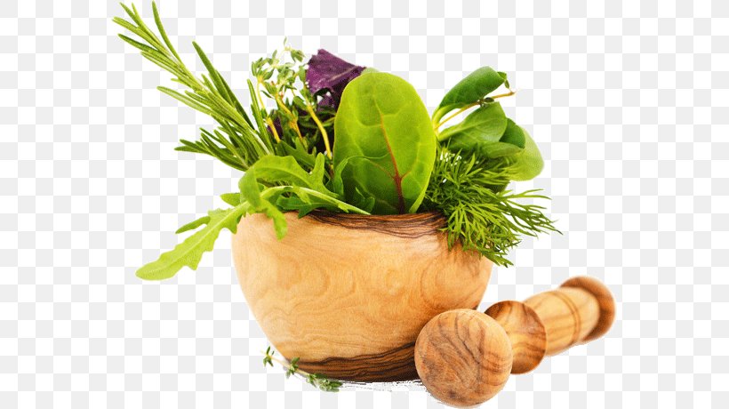 Ayurveda Medicine Herb Health Medicinal Plants, PNG, 569x460px, Ayurveda, Alternative Health Services, Flowerpot, Food, Health Download Free