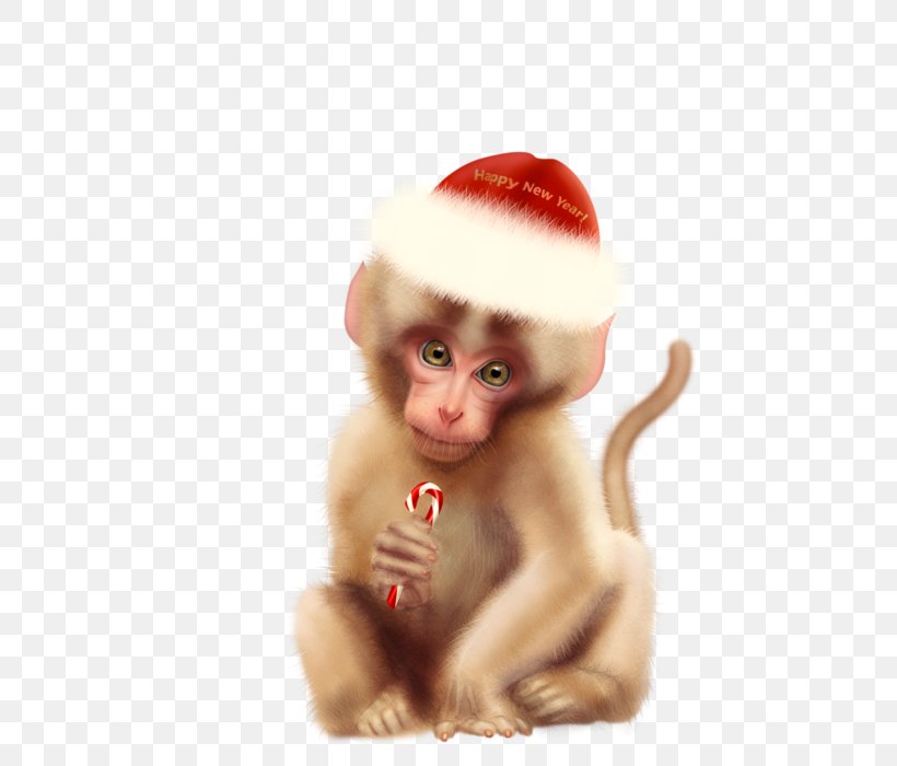 Macaque Christmas Ornament Figurine, PNG, 661x700px, Macaque, Christmas, Christmas Ornament, Figurine, Old World Monkey Download Free