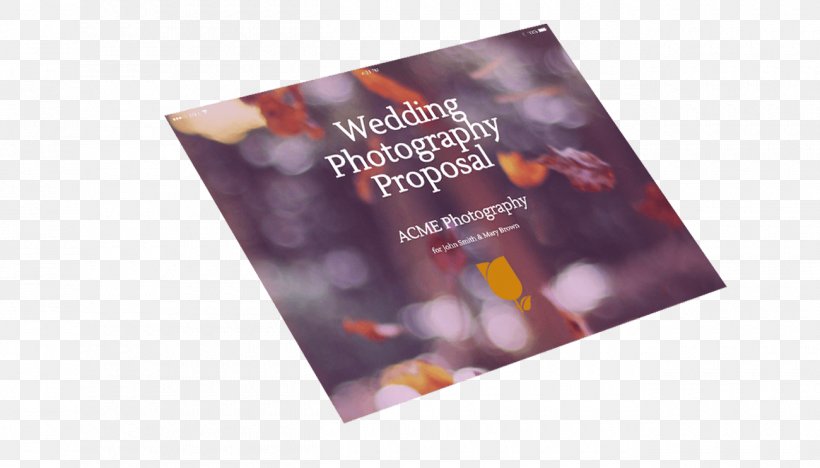 Marriage Proposal Photography Wedding Research Proposal, PNG, 1300x743px, Proposal, Advertising, Brand, Bride, Business Download Free