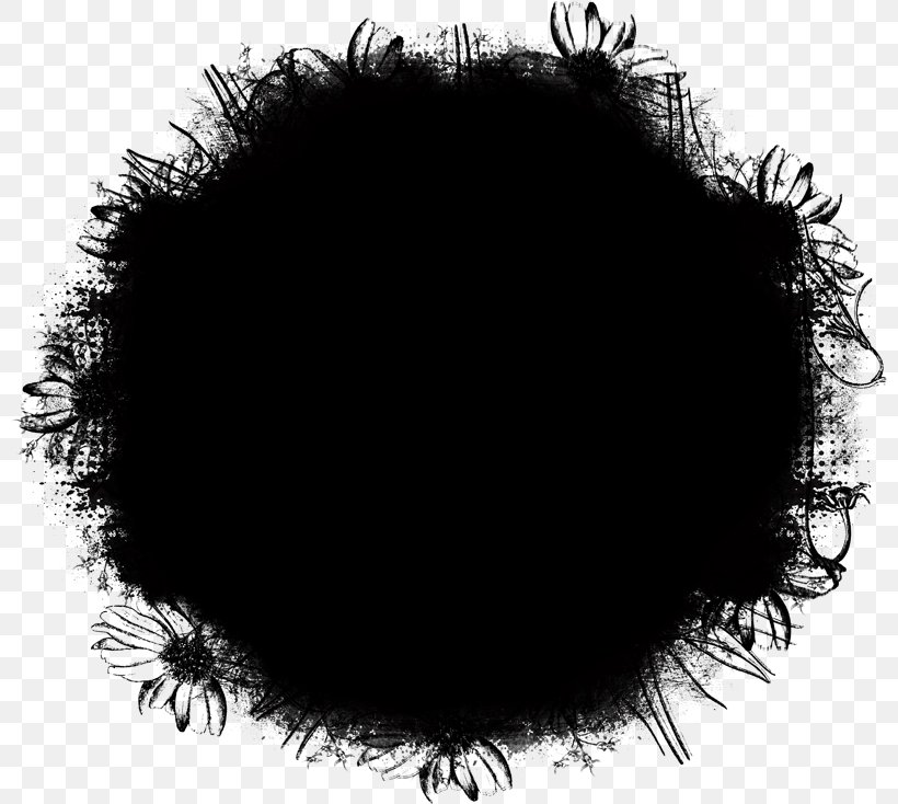 Out Of Silence PaintShop Pro PhotoFiltre, PNG, 800x734px, Out Of Silence, Black, Black And White, Eyelash, Fur Download Free