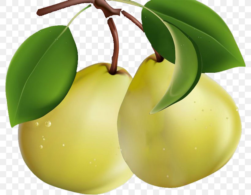 Pear Clip Art, PNG, 786x638px, Pear, Apple, Bitmap, Citrus, Clipping Path Download Free