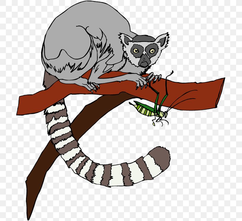 Ring-tailed Lemur Primate Clip Art, PNG, 709x750px, Lemur, Art, Blackandwhite Ruffed Lemur, Carnivoran, Cartoon Download Free