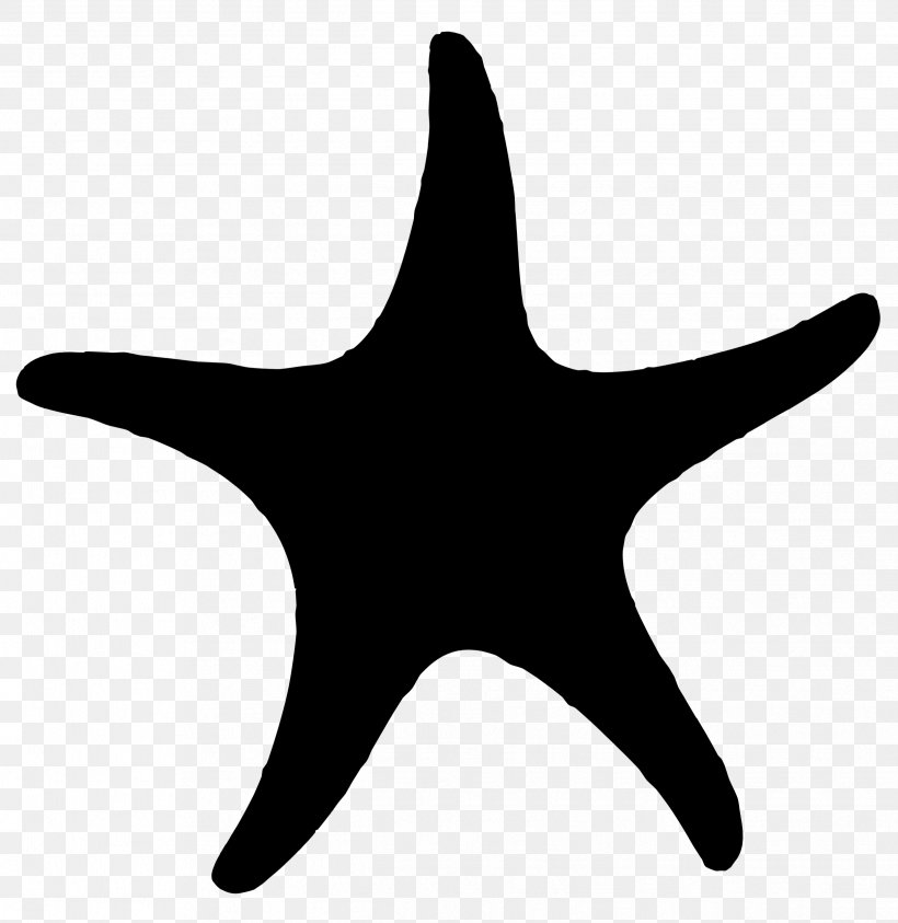 Starfish Echinoderm Line Point Clip Art, PNG, 2488x2558px, Starfish, Echinoderm, Invertebrate, Marine Invertebrates, Point Download Free