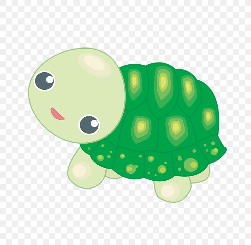 Vector Graphics Turtle Image Cartoon Animation, PNG, 800x800px, Turtle, Amphibian, Animated Cartoon, Animation, Cartoon Download Free