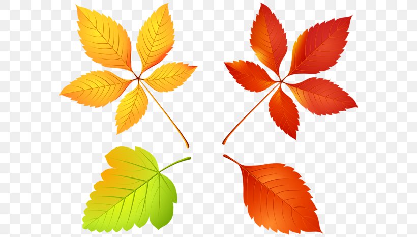 Maple Leaf Clip Art Vector Graphics Maple Leaf, PNG, 600x466px, Leaf, Autumn Leaf Color, Branch, Crown, Deciduous Download Free