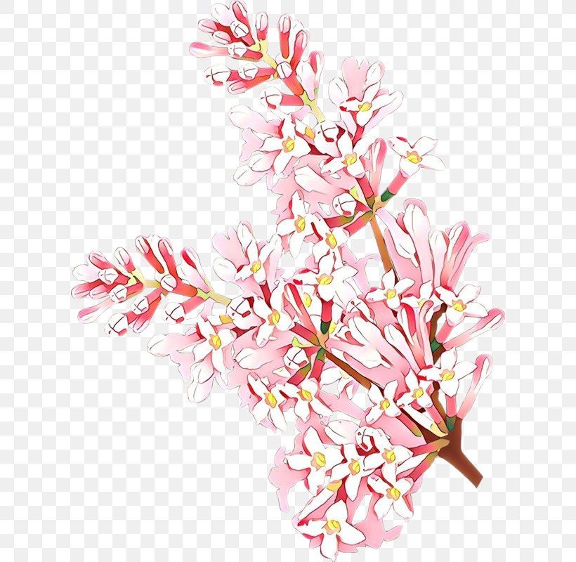 Pink Flower Cut Flowers Plant Twig, PNG, 618x800px, Cartoon, Cut Flowers, Flower, Flowering Plant, Pink Download Free