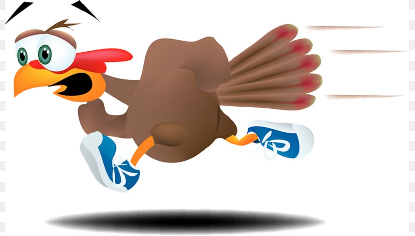 Turkey Trot Running Turkey Meat Clip Art, PNG, 799x468px, 5k Run, Turkey, Beak, Bird, Cartoon Download Free