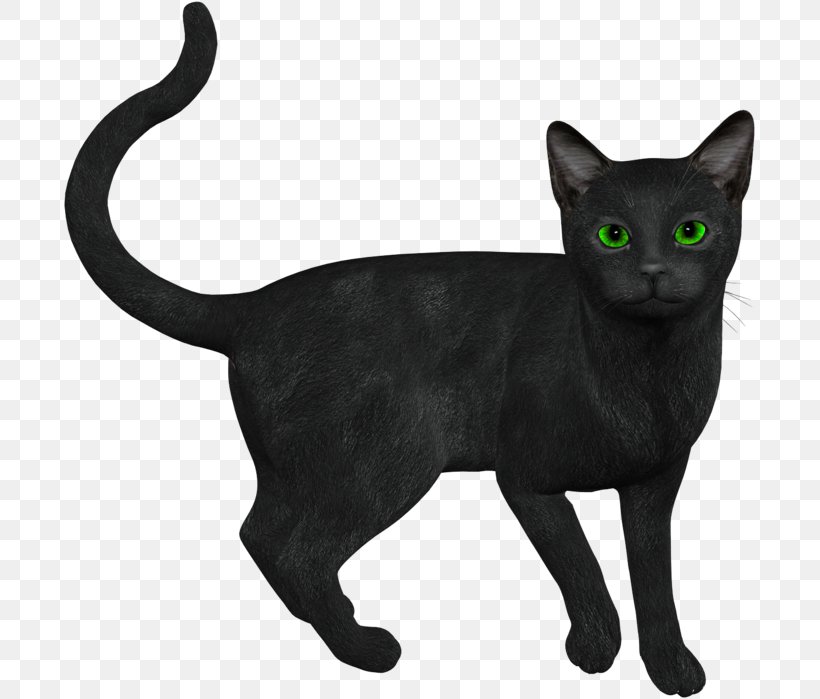 Cat Kitten Clip Art Drawing Image, PNG, 693x699px, Cat, Asian, Black Cat, Bombay, Burmese Download Free