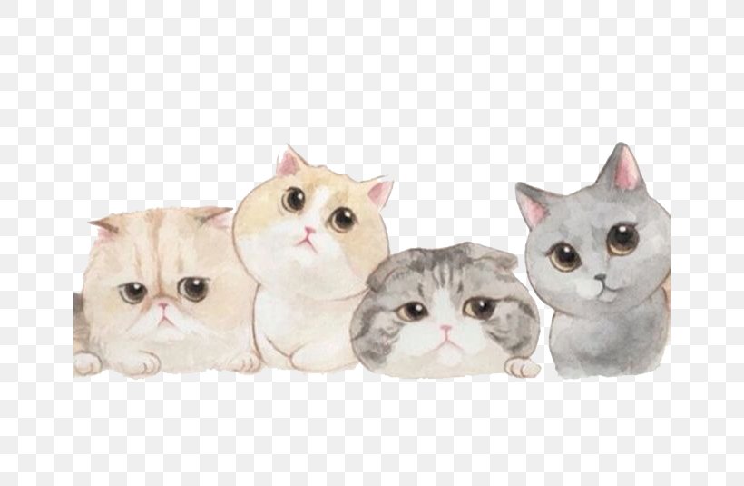Cats Braised Noodles Wallpaper, PNG, 658x535px, Cat, Aegean Cat, American Shorthair, American Wirehair, Asian Download Free