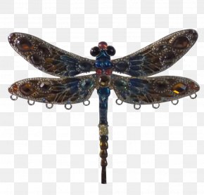 Dragonfly - Dragonfly Earring Fuzhou Senli Yipin Home Furnishings Limited Company é¦–é£¾ Necklace PNG