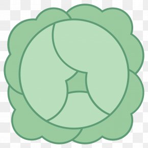 Cabbage - Flowering Plant Leaf Circle Clip Art PNG