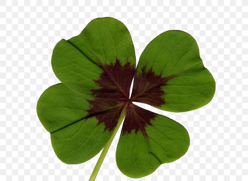 Iron Cross Four-leaf Clover Luck Bulb, PNG, 640x599px, Iron Cross, Annual Plant, Bulb, Burknar, Clover Download Free
