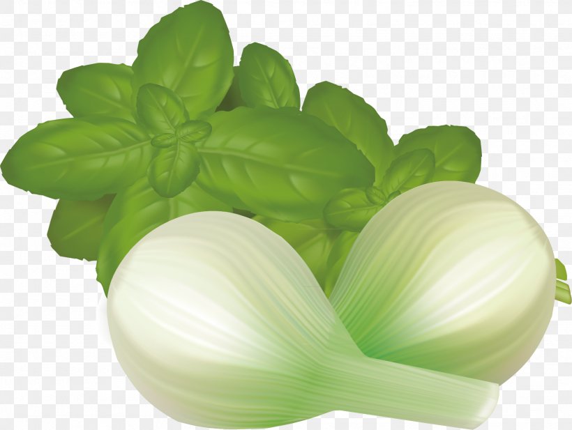 Leaf Vegetable Mint, PNG, 1613x1215px, Leaf Vegetable, Cartoon, Drawing, Food, Green Download Free