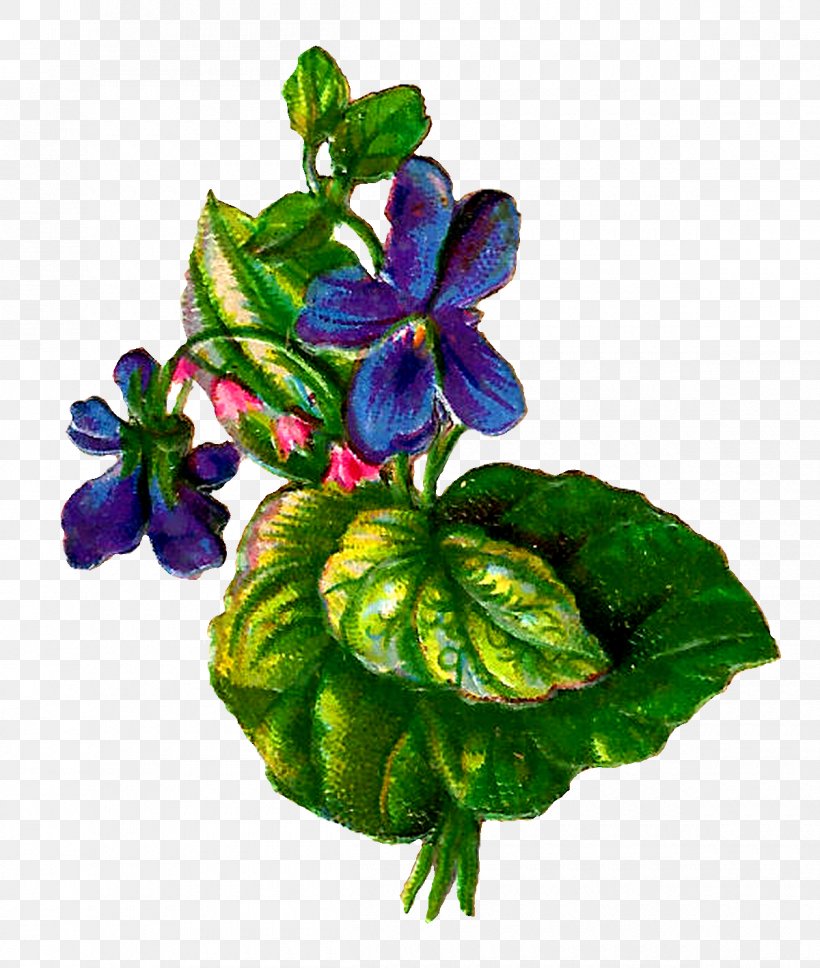 Paper Flower Violet Clip Art, PNG, 1200x1417px, Paper, Art, Craft, Digital Image, Floral Design Download Free