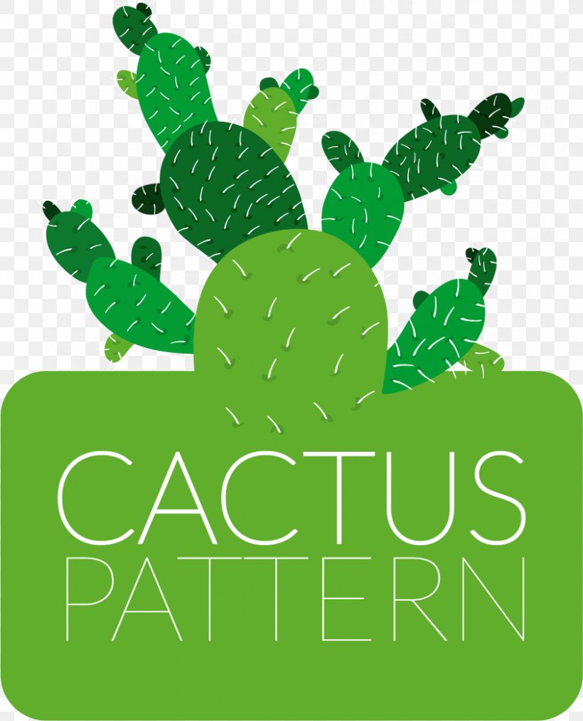 Cactus Flowers Drawing Cactaceae Clip Art, PNG, 843x1042px, Cactus Flowers, Area, Botanical Illustration, Brand, Cactaceae Download Free