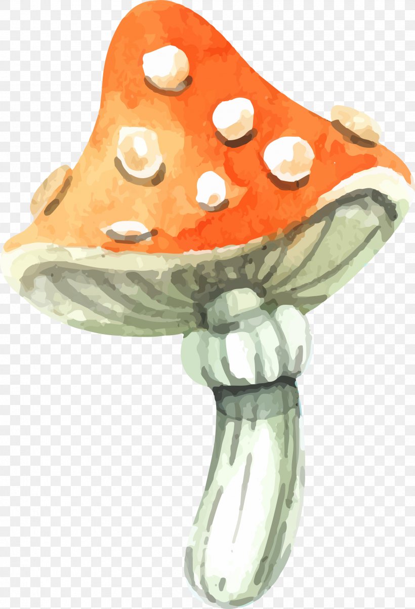 Get The Candy:Halloween Download, PNG, 2504x3676px, Get The Candyhalloween, Google Images, Halloween, Mushroom, Orange Download Free
