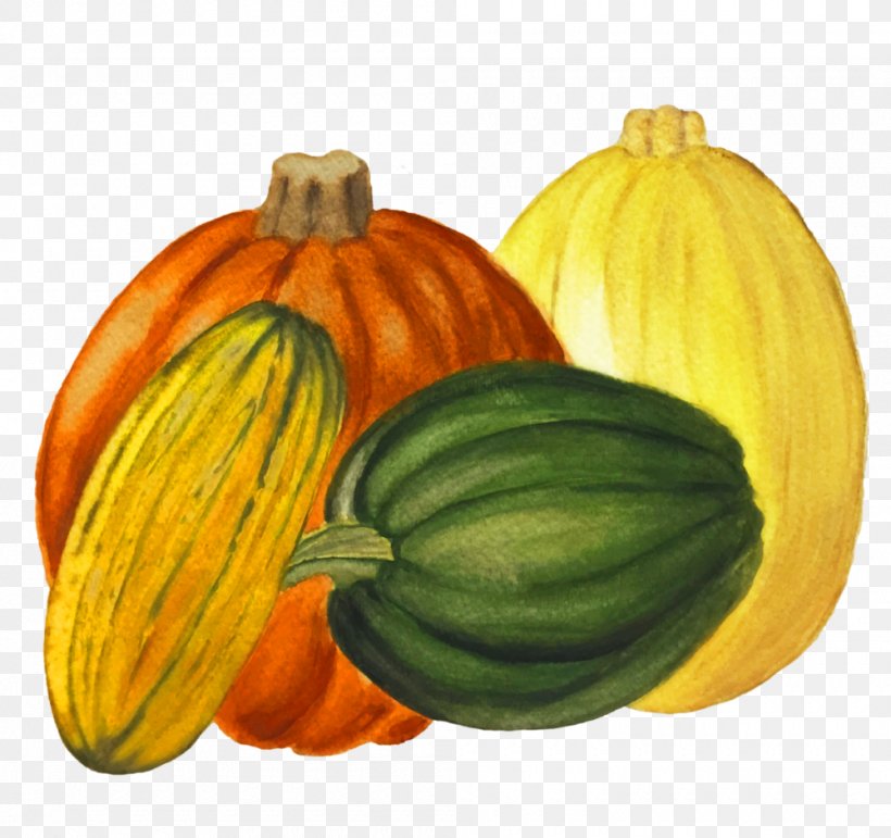 Pumpkin Gourd Winter Squash Calabaza Summer Squash, PNG, 1000x941px, Pumpkin, Acorn Squash, Calabaza, Commodity, Cucumber Gourd And Melon Family Download Free